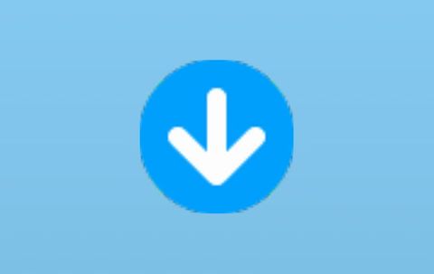 Any Video Downloader v10.4.30 Pro 便携版下载（视频下载工具）