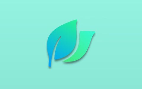LeafView v4.5.2 中文绿色版下载（轻量级开源图片查看器）