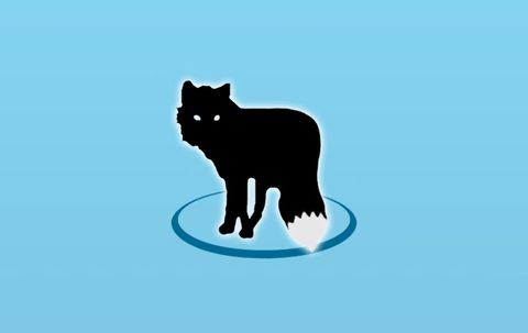 MetaFox v2.6.5.2 便携版下载（无损转换MKV的轻量视频封装工具）