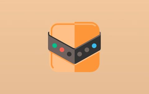 Reg Organizer v9.96 多语便携版下载（系统清理与深度优化工具）