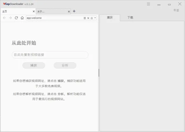 VCap Downloader 截图 1