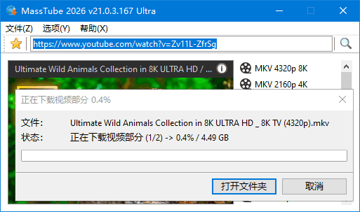 MassTube 主界面
