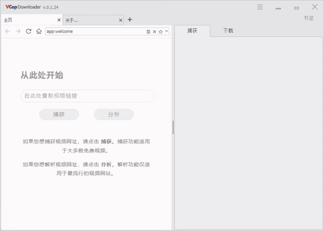 VCap Downloader 任务列表界面