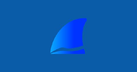 Wireshark v4.7.3 下载（开源网络抓包分析工具）